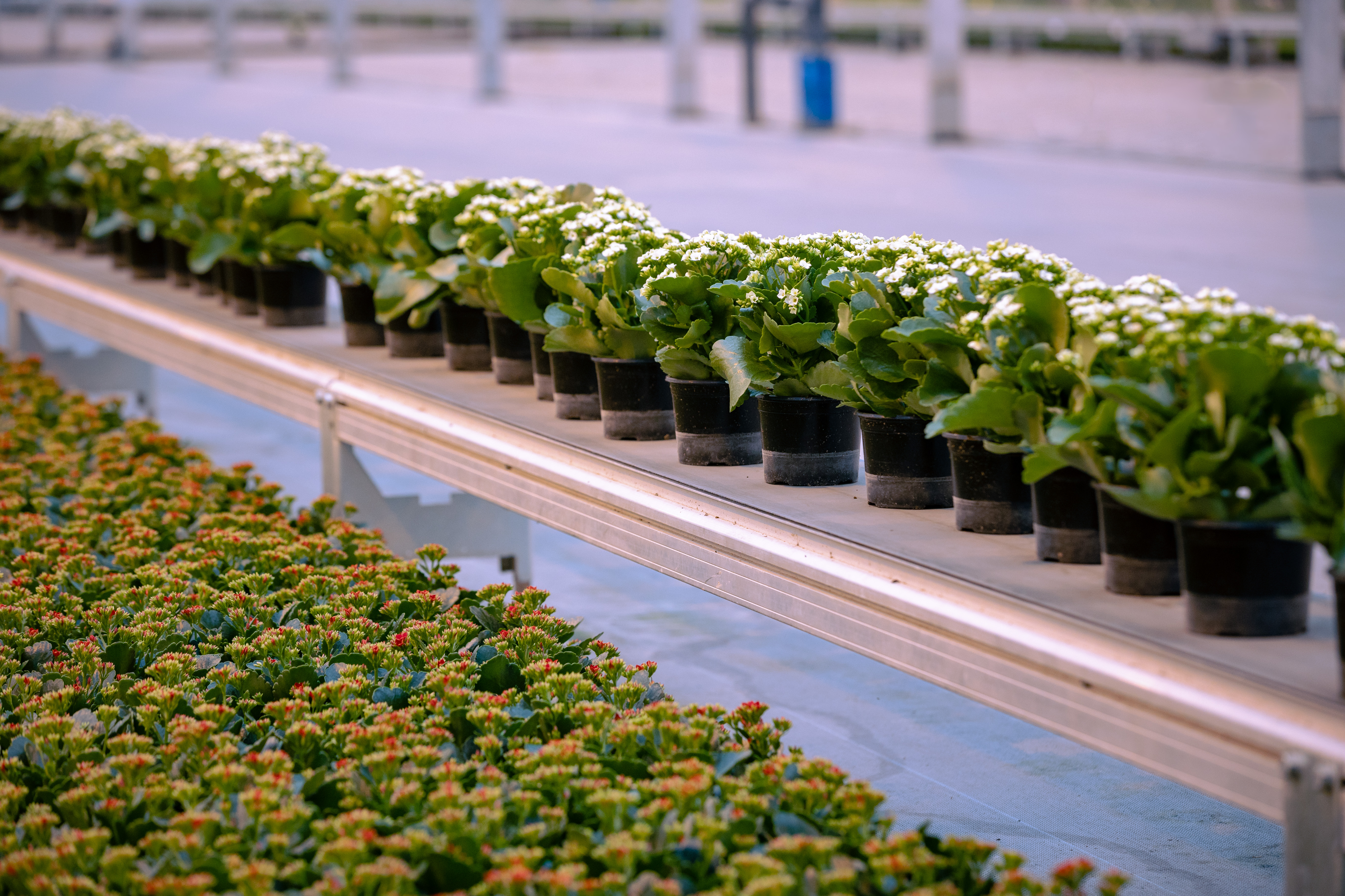 Curious<br>about our services<em>?</em>